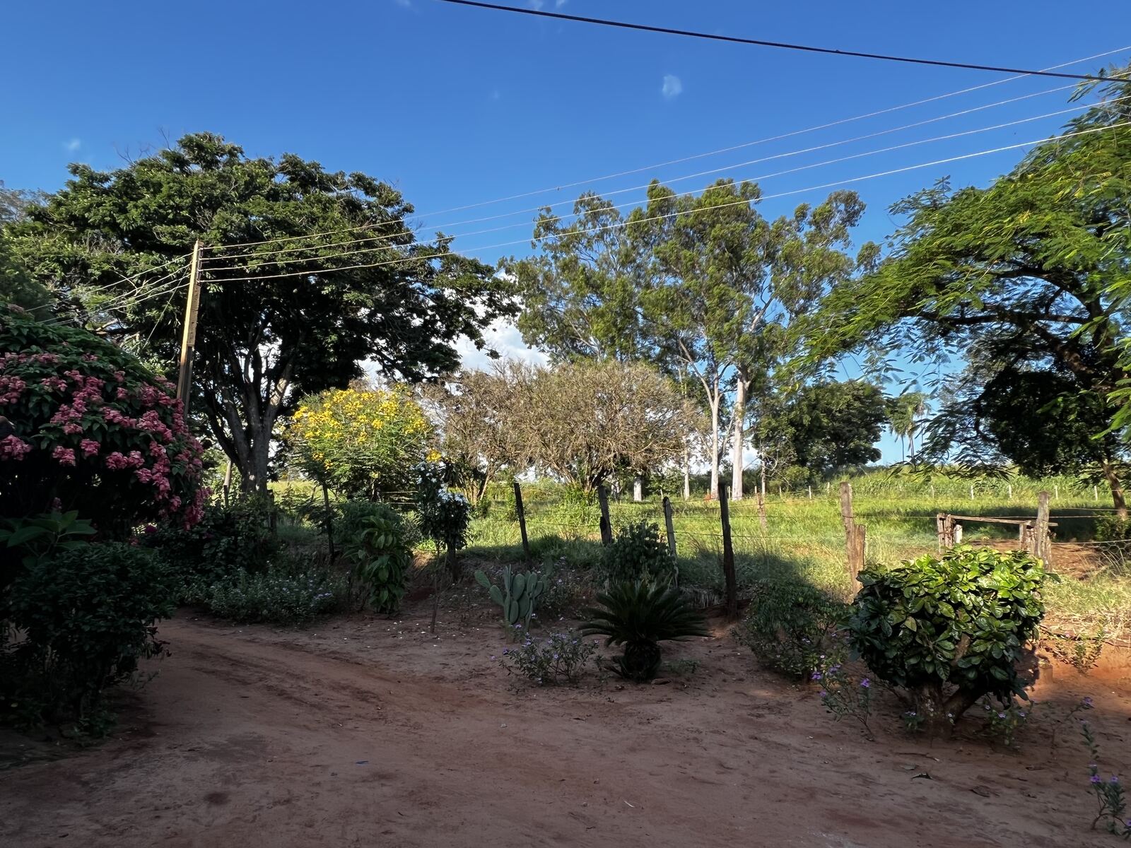 Jardim na entrada da fazenda, com flores, cactos e árvores sob céu azul.