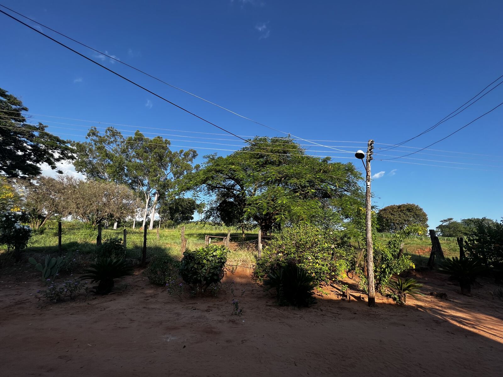 Terreiro de terra vermelha, plantas e o poste de luz em frente à casa.